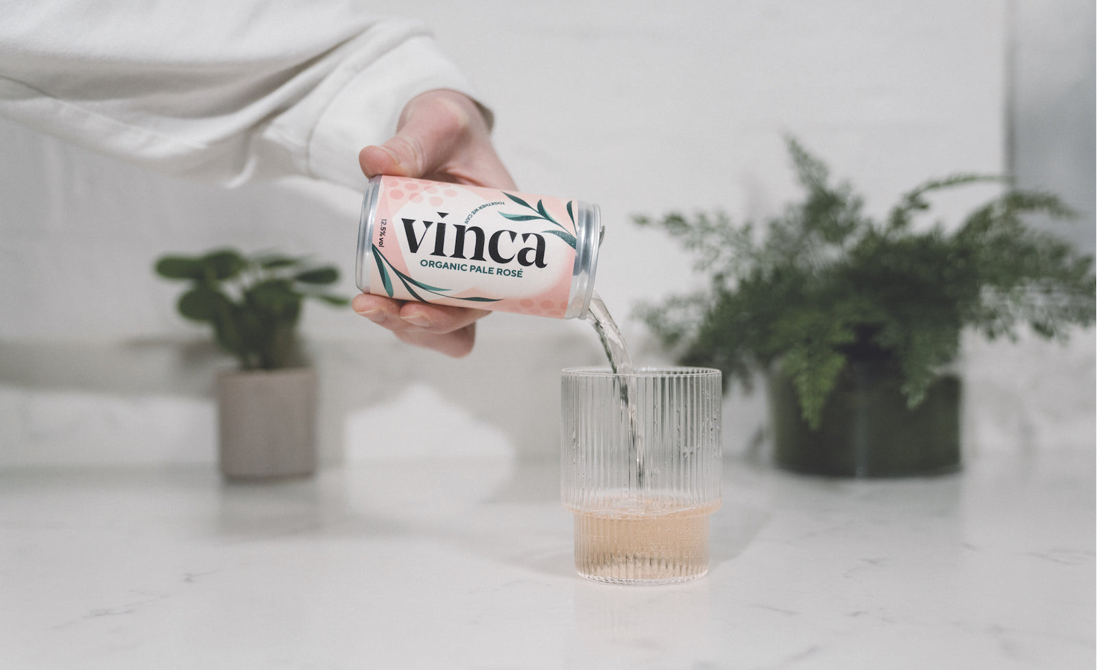 Canned Wine vs. Bottled Wine