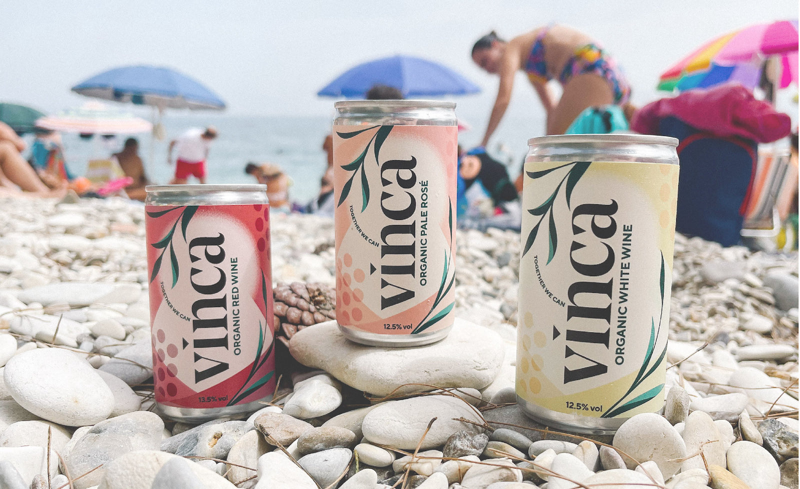 DISCOVER THE BENEFITS OF CHOOSING CANNED WINE