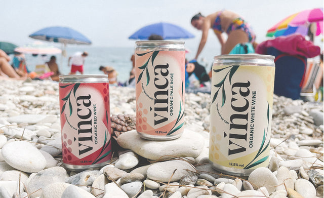 DISCOVER THE BENEFITS OF CHOOSING CANNED WINE
