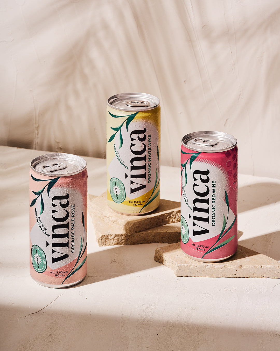 Canned Wine Discovery Pack